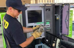 Cash, il gattino salvato dopo essere rimasto intrappolato nel bancomat: la storia