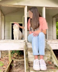 Cooper, il gatto che è stato abbandonato dalla sua famiglia