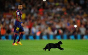 Gatto nero interrompe la partita del Barcellona (VIDEO)