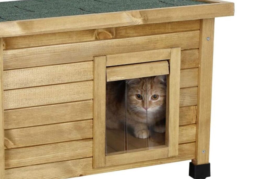 casetta di legno per gatto