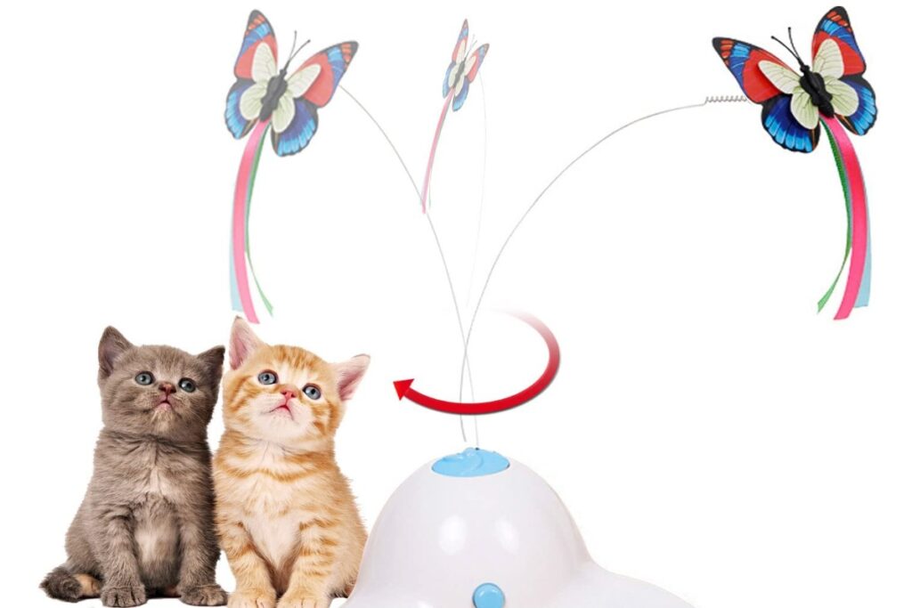 gioco con farfalle per gatti
