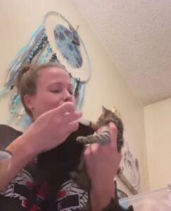 Il momento della pappa per i dolci gattini (VIDEO)