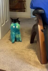 Gattino porta a spasso il suo peluche (VIDEO)