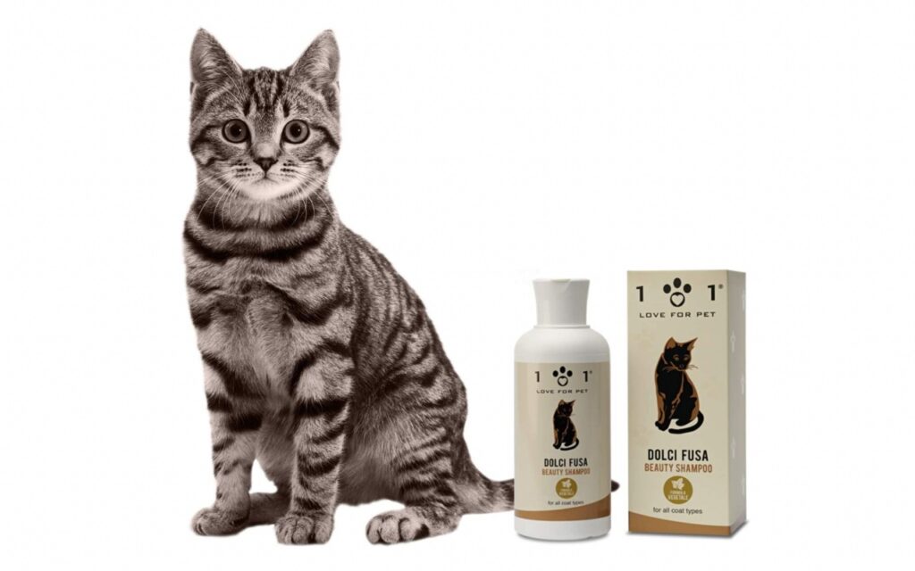 shampoo per gatto bengala