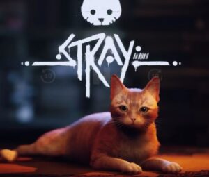 Gatti e videogiochi: come reagiscono a Stray
