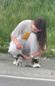 Gattino in strada: salvato con gioia (VIDEO)
