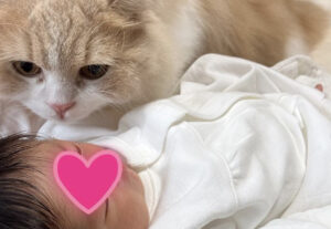 Gatto conosce umano appena nato e lo scruta