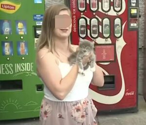 Pepsi, la gattina salvata dal distributore