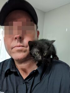 Walnut, il gatto che è stato adottato dal Vigile del Fuoco che lo ha salvato