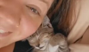 L’amica dei gatti Danielle è stata molto male; si è ripresa e adesso si prende di nuovo cura dei suoi piccoli amici (VIDEO)