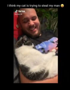 Gatto dorme solo in braccio al suo papà (VIDEO)