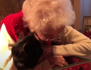 Nonna riceve un gatto nero come compagno: la sua reazione è tutta da vedere (VIDEO)