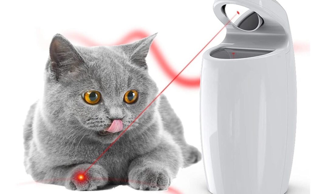 puntatore laser per gatto