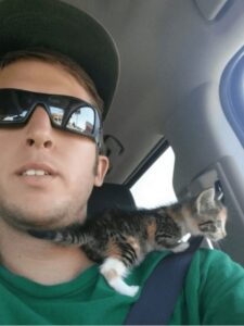 un gattino con Matt