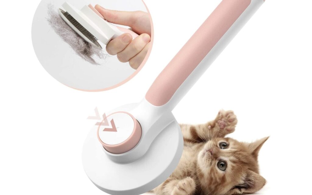 spazzola per gattini piccoli
