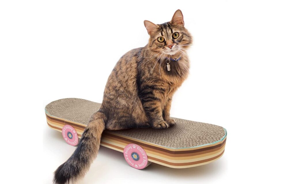 tiragraffi skateboard in cartone