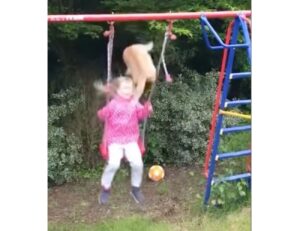 Gatto scivola facendo cadere una bambina dall'altalena