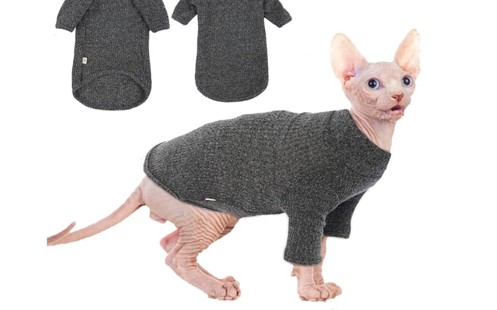 maglia per sphynx