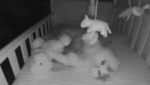 La telecamera ad infrarossi registra il dolce gattino mentre gioca nella culla del bimbo (VIDEO)