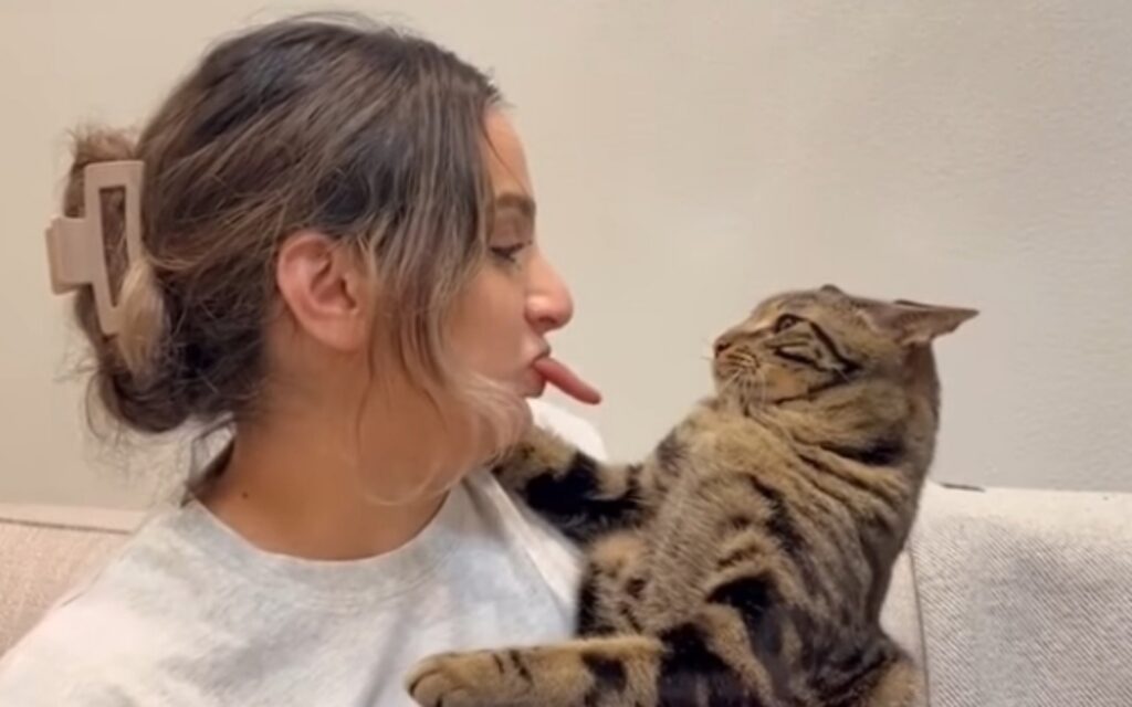 padrona lecca gatto con lingua finta