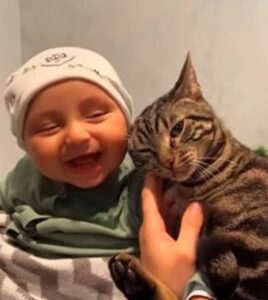 gatto con un bimbo