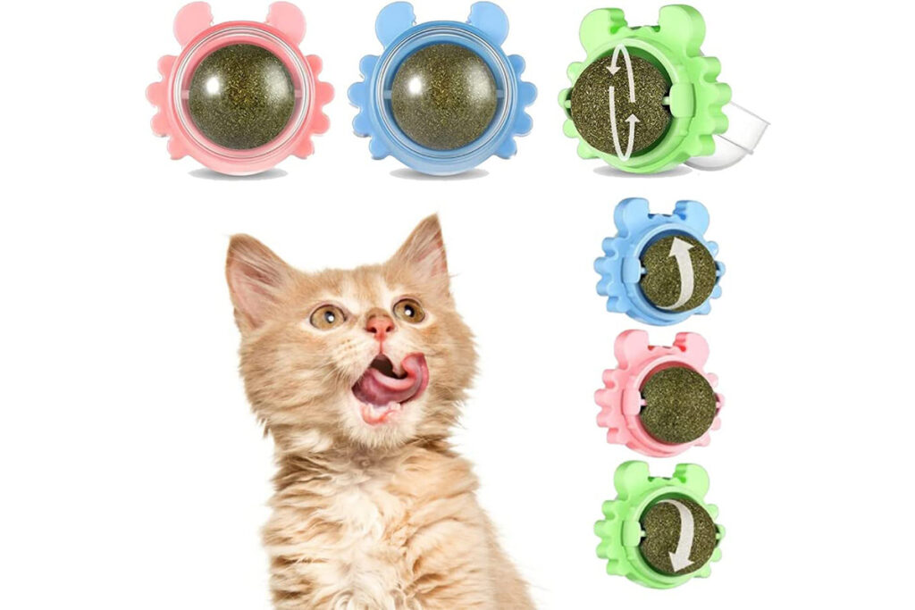 giochi di gomma a forma di granchio per gattini Maine Coon