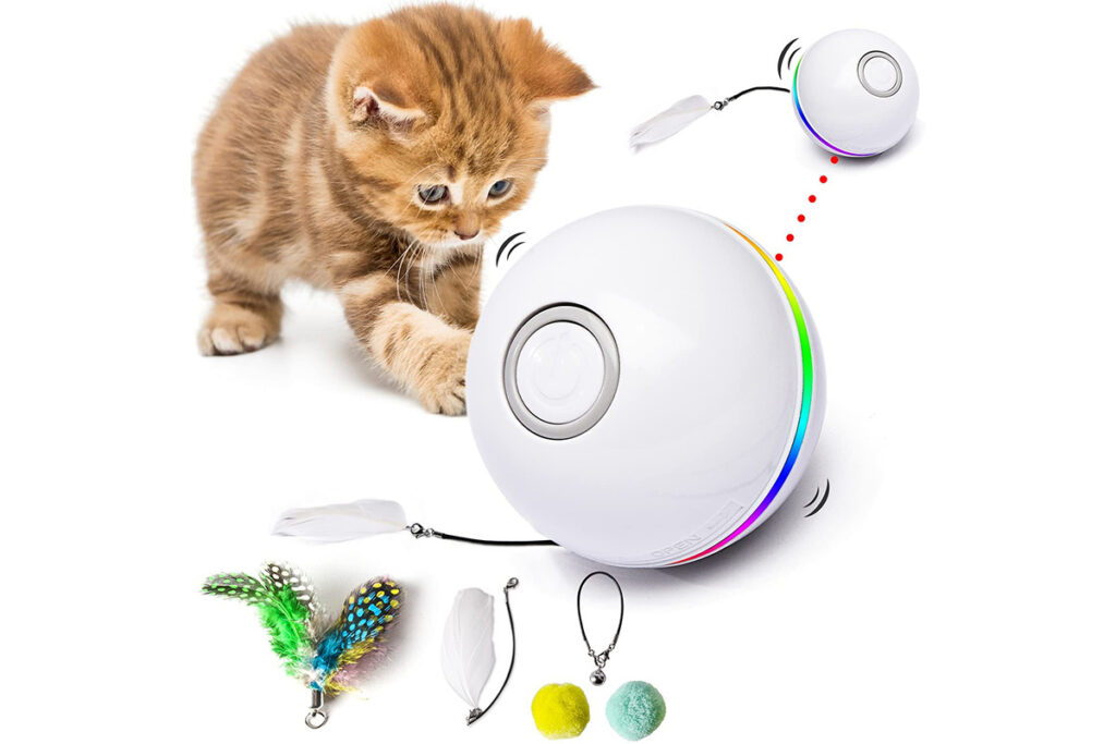 palla fra giochi interattivi per gatto maine coon