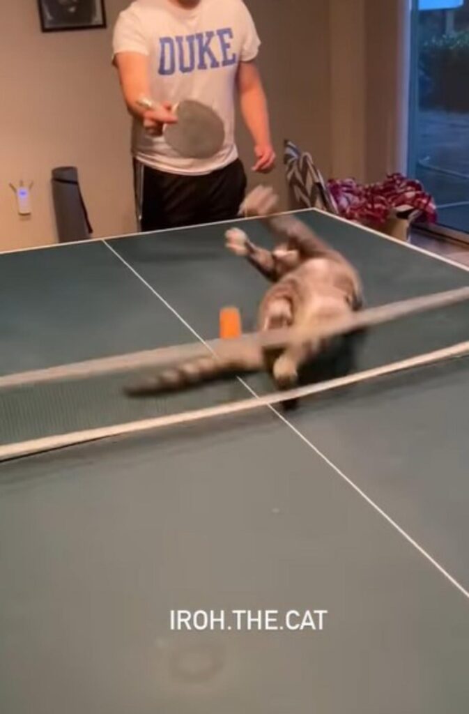 ping pong