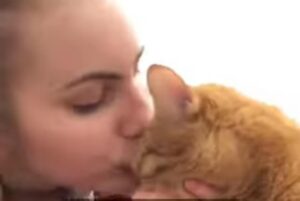 Il gattino “maltratta” la sua padrona, eppure lei spiega in un video tutti i motivi per cui lo ama (VIDEO)