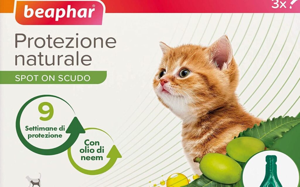 antiparassitario per gattini