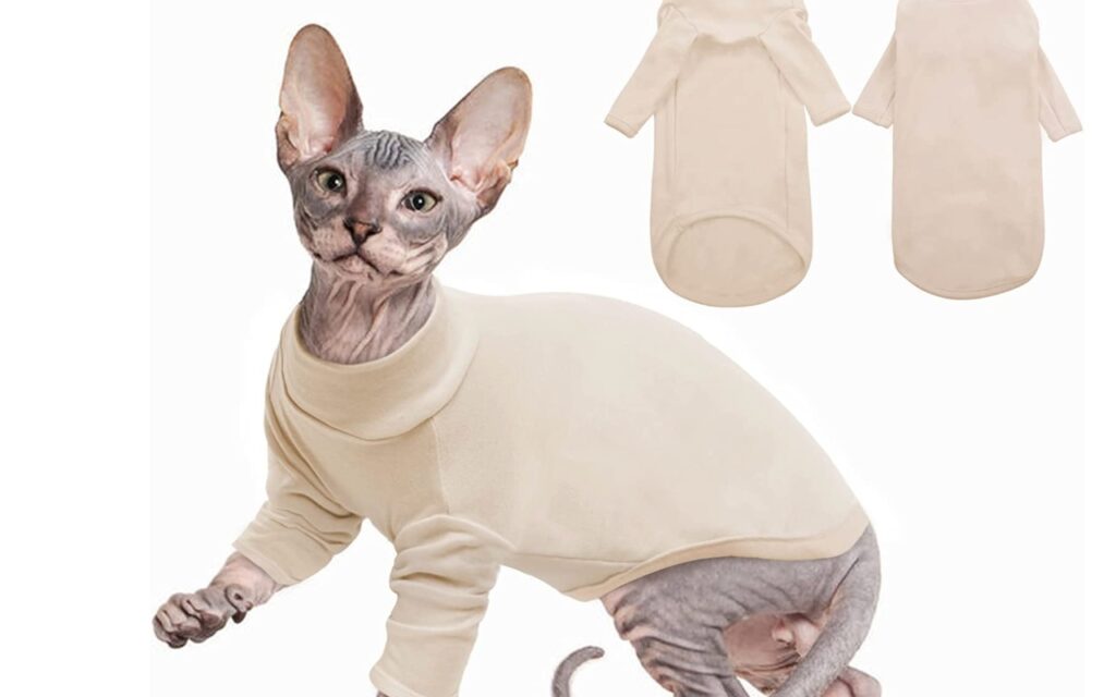 maglione per gatto Sphynx