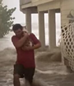Gatto randagio vivo grazie ad un uomo che ha sfidato l’uragano per salvarlo (VIDEO)
