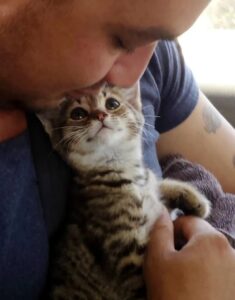 Il momento in cui questo gattino capisce di essere finalmente stato adottato è pura emozione