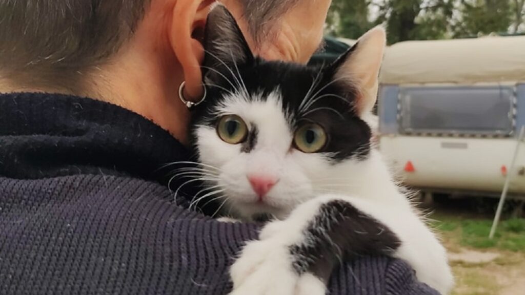 Macchia dal pelo bianco e nero