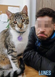 Snarf e Tigro, i due gatti che vivono a scuola