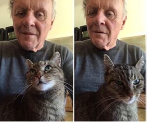 Anthony Hopkins e il suo gatto: l’addio (VIDEO)