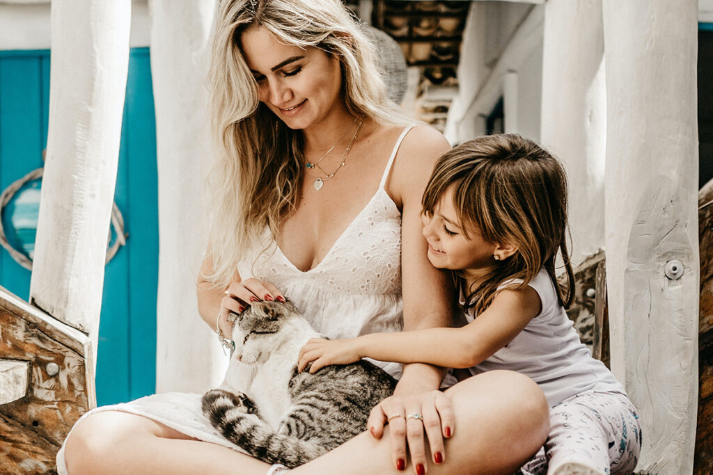 dove comprare un gatto adatto ai bambini