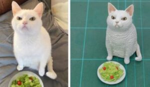 Il padrone di questo gatto resta talmente colpito dalla sua espressione davanti all’insalata che la scolpisce