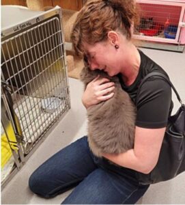 Gatto scompare per tre lunghi anni: l’incontro con la sua mamma adottiva commuove il mondo intero