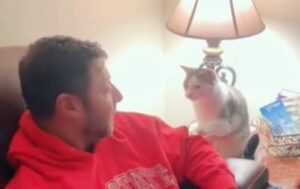 Il dolcissimo gatto bicolore mostra tutto l’amore per il suo papà (VIDEO)