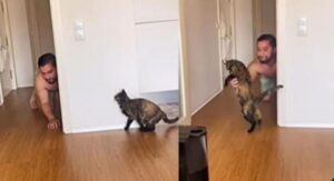Non voleva animali in casa: adesso quest’uomo gioca a nascondino con il suo amato gatto