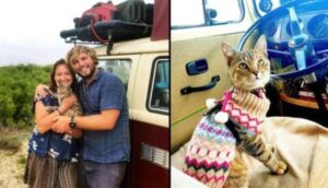 La coppia di turisti è rimasta in Messico per un anno pur non abbandonare il gatto che avevano salvato