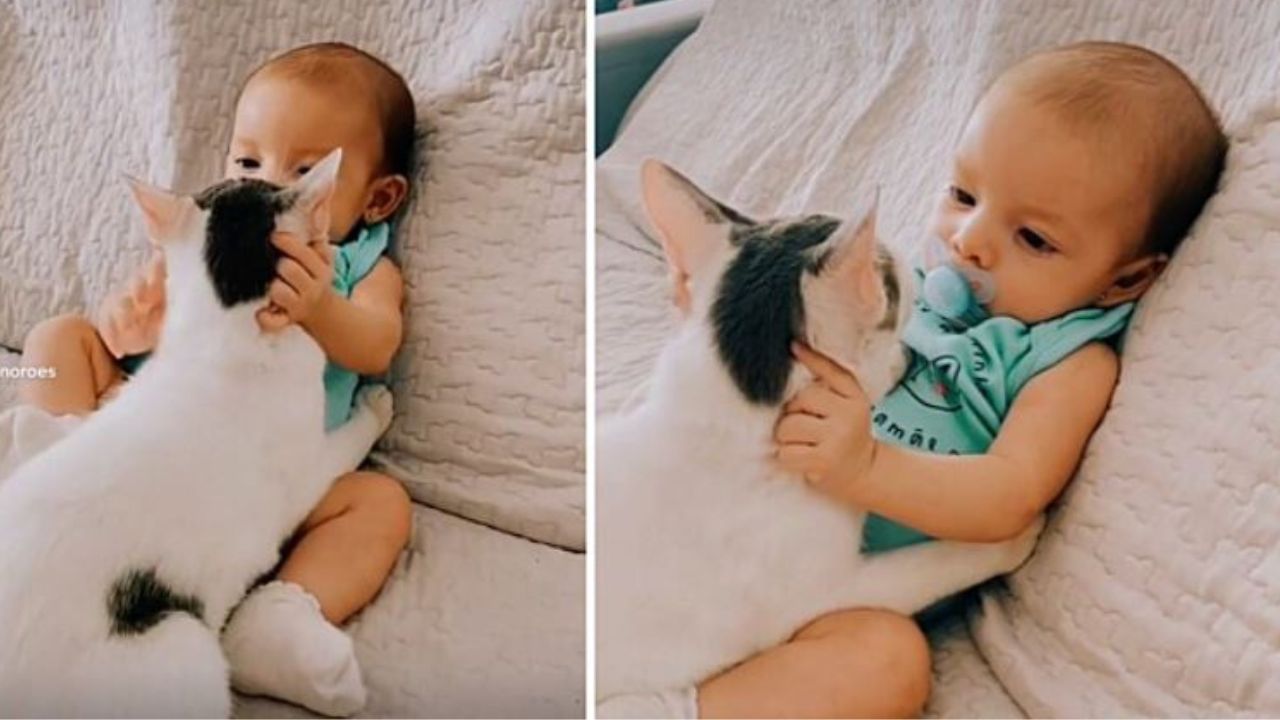 una neonata con un gatto 