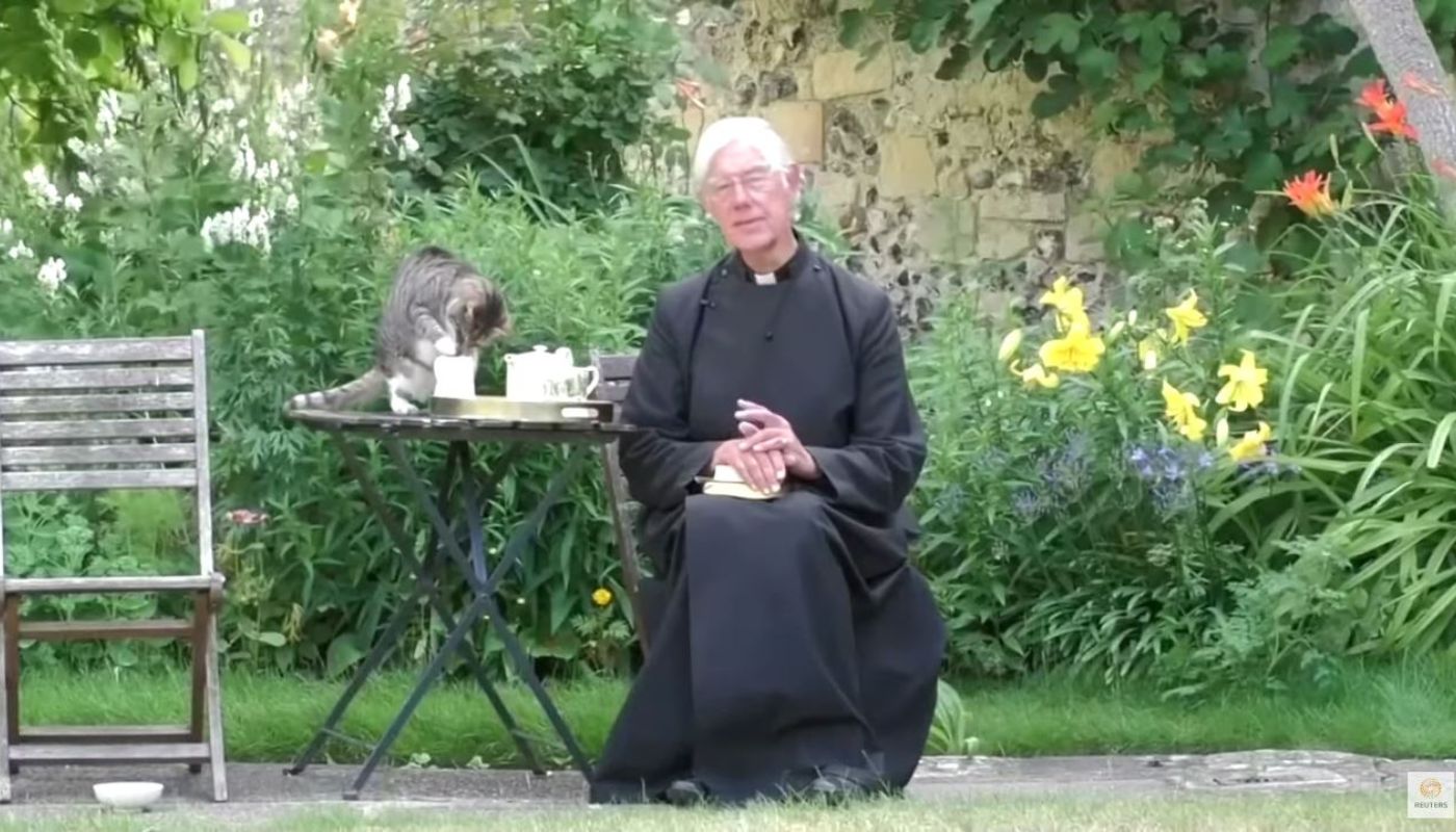 gatto ruba latte durante la diretta del decano di Canterbury