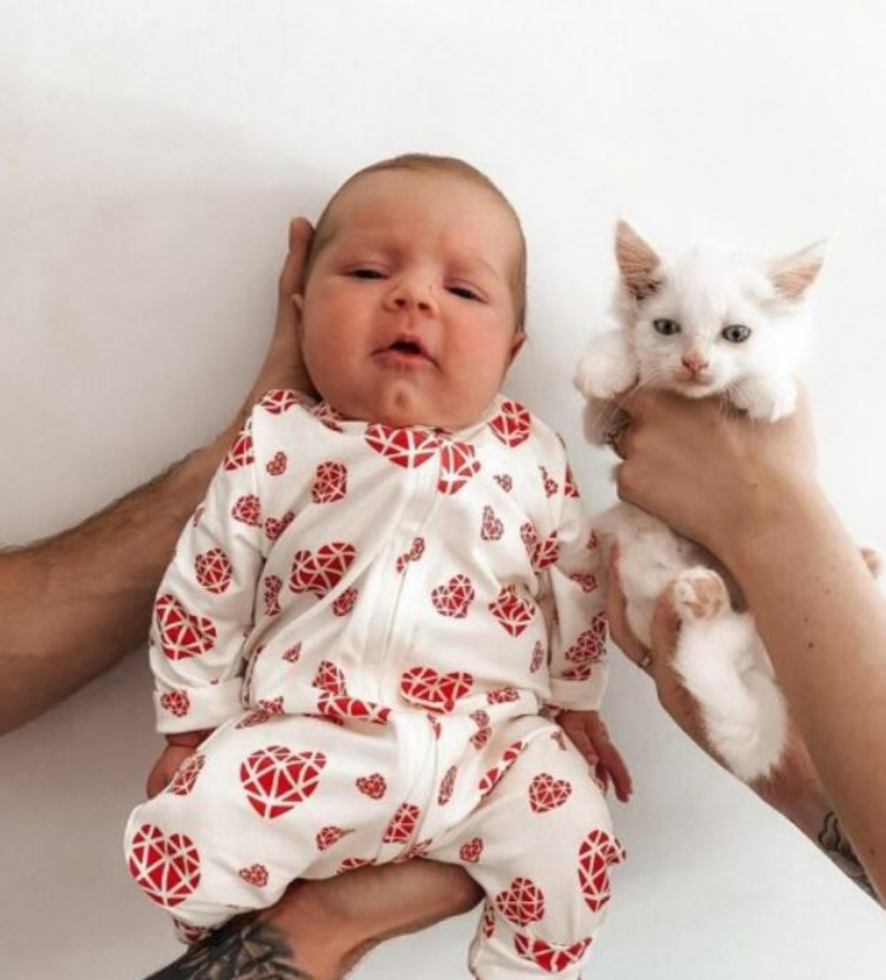 un gattino bianco insieme ad un bambino