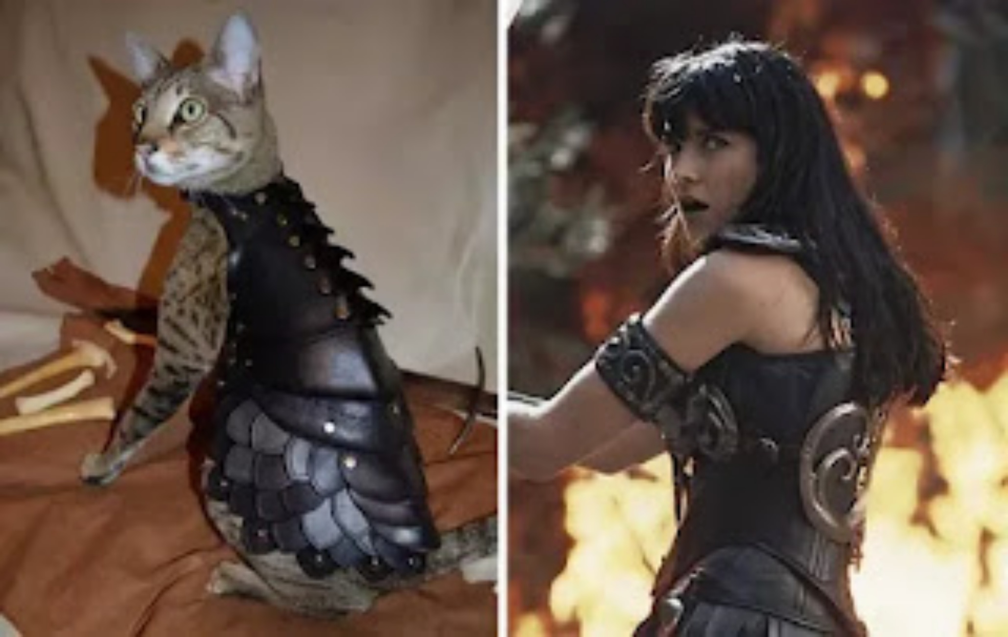 xena e gatto