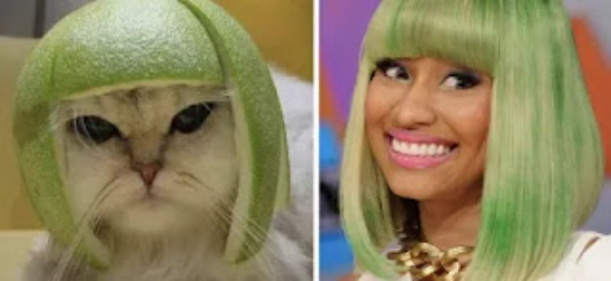 Nicki Minaj e gatto