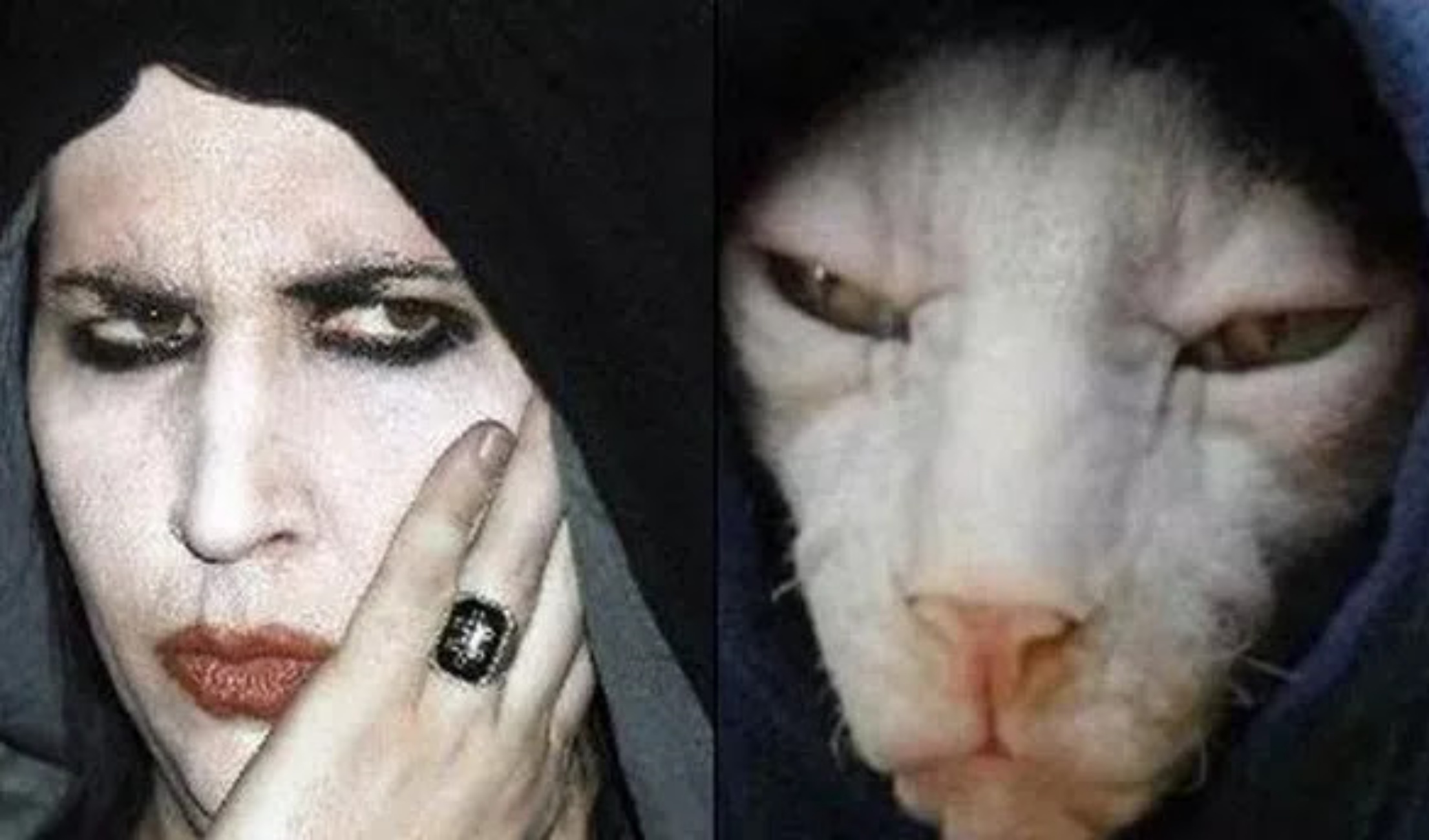 Marilyn Manson e gatto