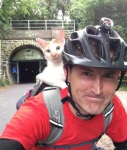 Gatto si avvicina al ciclista per avere un po’ di coccole extra