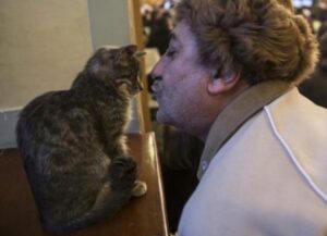 Una moschea ha aperto le sue porte ai gatti randagi, accogliendoli con amore